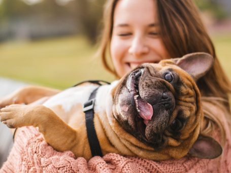 Éducateur comportementaliste canin dresseur pour chien  NIORT 79000 gestion des émotion malinois border collie cours après les vélos poursuit les coureurs les vélos je ne comprend pas mon chien dresser sont chien bouledogue français pas propre à la maison détruis la maison à manger mon canapé  