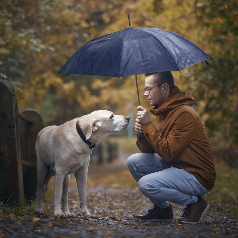 Les différentes problématiques du chien. La gestion des emotions pour un chien. Trouble du comportement chien. Comment faire en sorte que mon chien s'arrête au pied ? Apprendre a son chien différentes méthodes d'éducation. Solution pour éduquer mon chien. Socialisation des chiens. Cours de dressage. Éducation positive des chiens. Clicker training. Rappel de chien. Gestion des problèmes de comportement. Chien de garde. Agility canine 